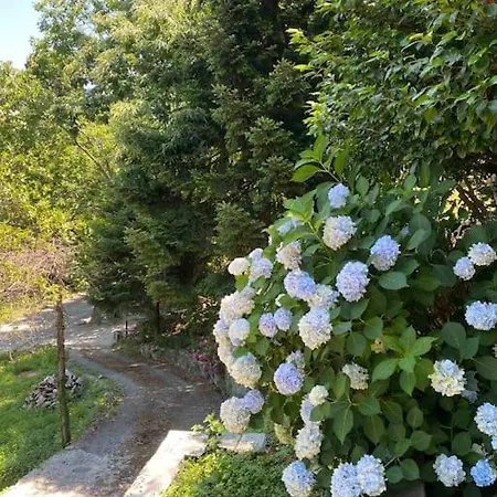 Tsagarada's Friends And Family 度假居 桑加拉达
